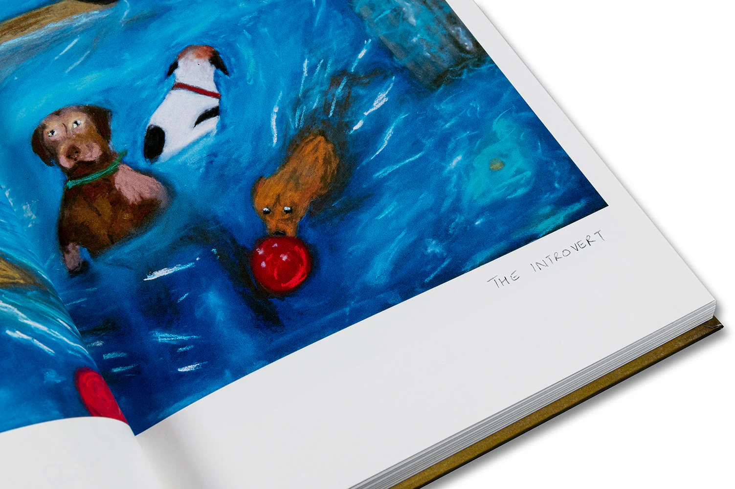 Product image 41